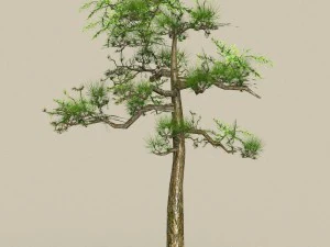 collezione di alberi low poly 10 Modello 3D