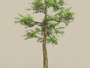 low poly 10 tree collection 3D Модель