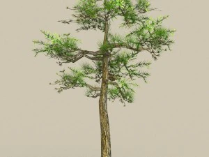 collezione di alberi low poly 10 Modello 3D
