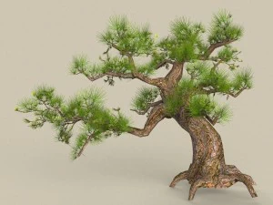 collezione di alberi low poly 10 Modello 3D