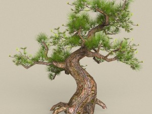 low poly 10 tree collection 3D Модель