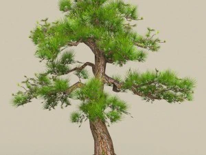 collezione di alberi low poly 10 Modello 3D