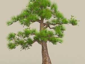 low poly 10 tree collection 3D Модель