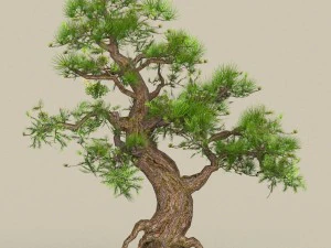 collezione di alberi low poly 10 Modello 3D