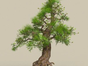 collezione di alberi low poly 10 Modello 3D