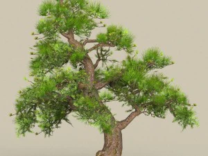 collezione di alberi low poly 10 Modello 3D