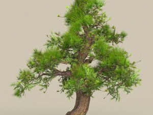 collezione di alberi low poly 10 Modello 3D