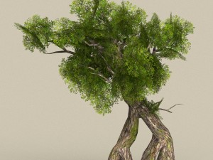 low poly 10 tree collection 3D Модель