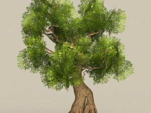 collezione di alberi low poly 10 Modello 3D