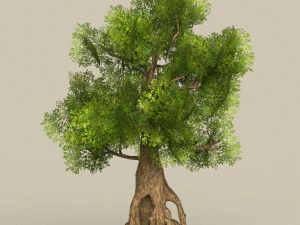 collezione di alberi low poly 10 Modello 3D