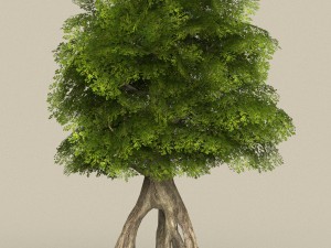 low poly 10 tree collection 3D Модель