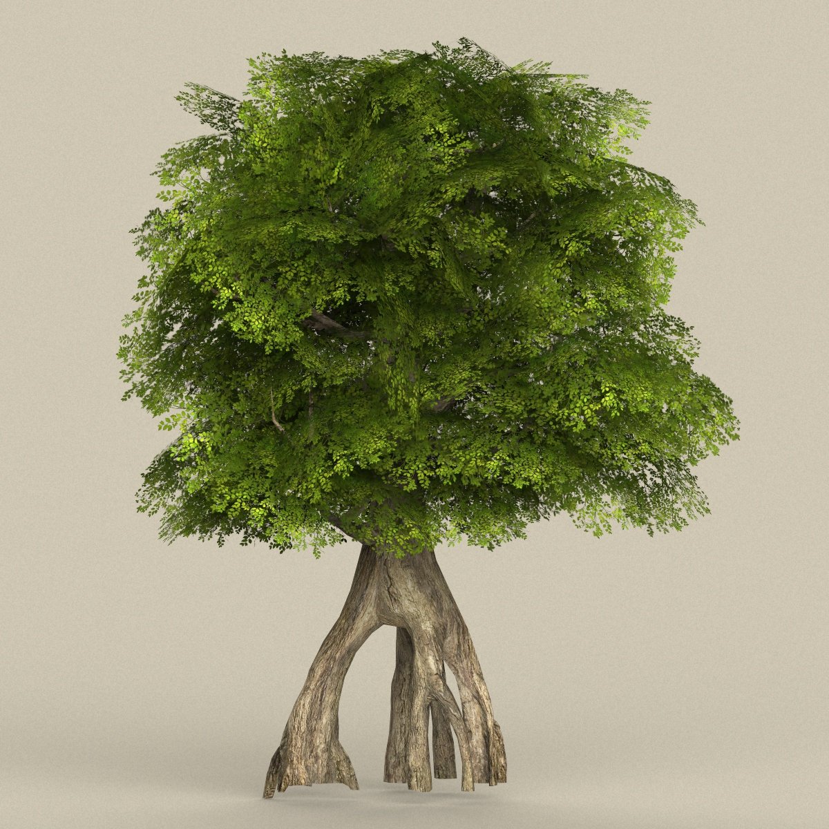 Дерево в 3 d. Деревья Лоу Поли 3д. Деревья для моделирования. Модельные деревья. Модель дерева 3d моделирование.