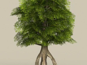collezione di alberi low poly 10 Modello 3D