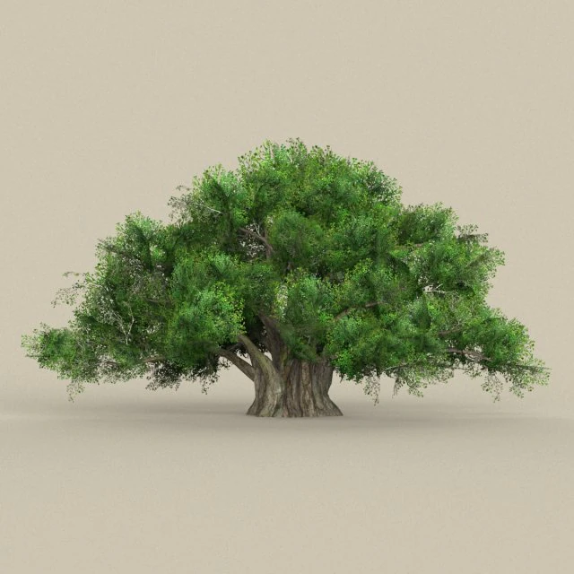 game ready tree 01 3D Model .c4d .max .obj .3ds .fbx .stl .blend 