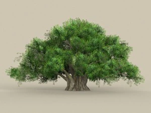game ready tree 01 3D Model