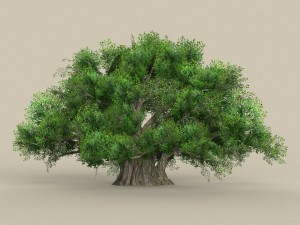 game ready tree 01 Modèle 3D