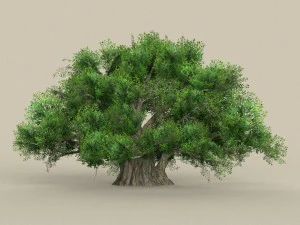 game ready tree 01 3D Model