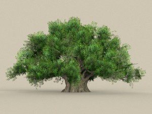 game ready tree 01 Modèle 3D