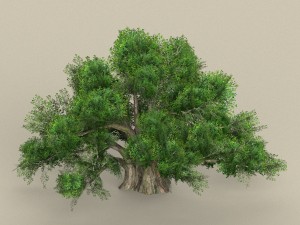 game ready tree 01 Modèle 3D