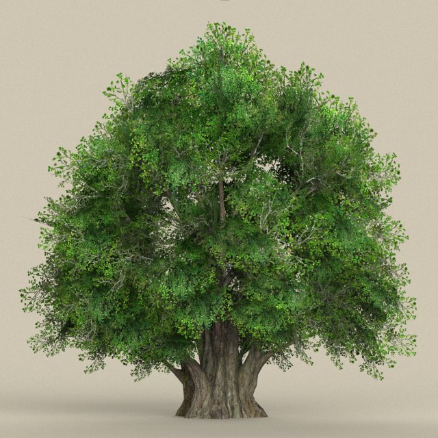 game ready tree 02 Modelo 3D .c4d .max .obj .3ds .fbx .stl .blend 