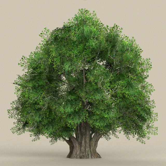 game ready tree 02 3D Model .c4d .max .obj .3ds .fbx .stl .blend