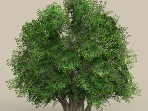 game ready tree 02 Modelo 3D
