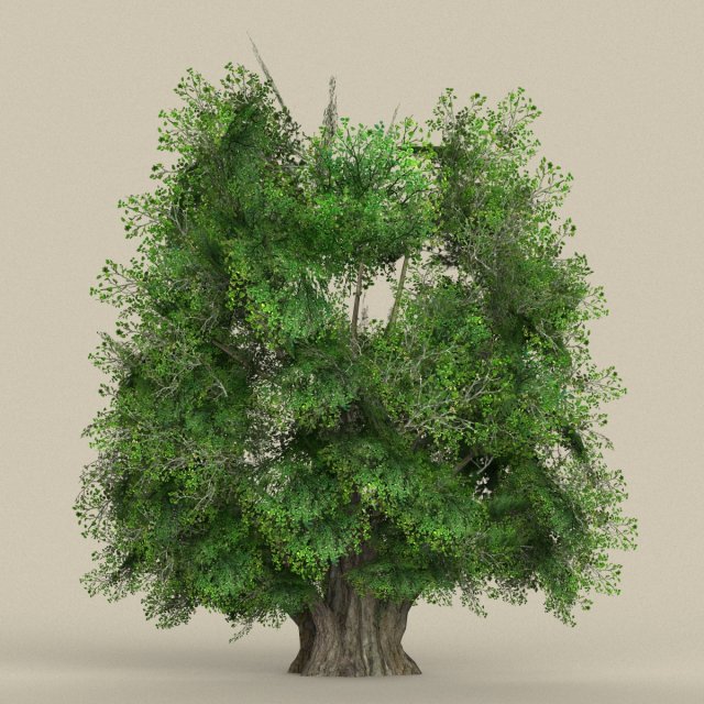 game ready tree 03 3Dモデル .c4d .max .obj .3ds .fbx .stl .blend 