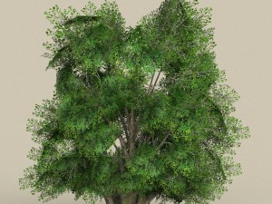 game ready tree 03 3Dモデル