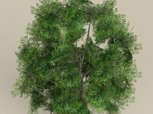 game ready tree 03 3Dモデル