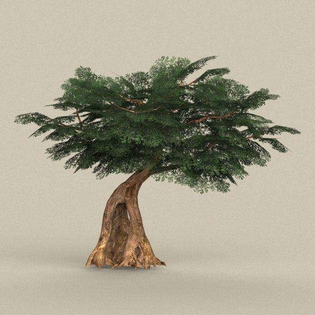 game ready tree 04 Modello 3D .c4d .max .obj .3ds .fbx .stl .blend 