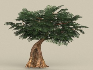 game ready tree 04 3D मॉडल