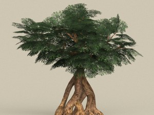 game ready tree 04 Modello 3D