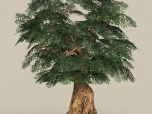 game ready tree 05 3D Model
