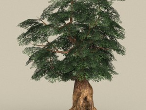 game ready tree 05 3D Model