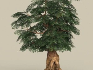 game ready tree 05 3D Model