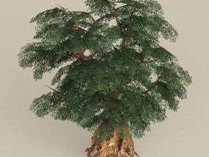 game ready tree 05 3D Model