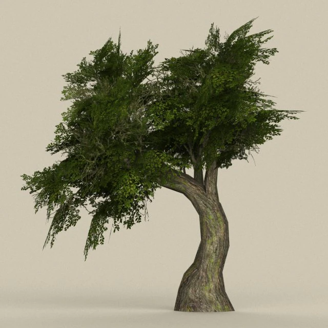 game ready tree 06 3D Model .c4d .max .obj .3ds .fbx .stl .blend 