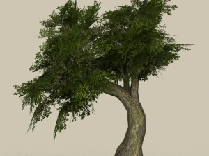 game ready tree 06 3D Model