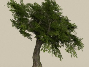 game ready tree 06 3D Model