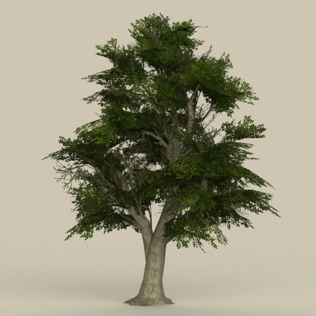 game ready tree 07 3D Model .c4d .max .obj .3ds .fbx .stl .blend 