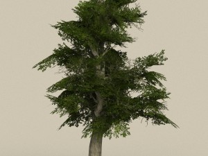 game ready tree 07 3D Model
