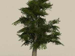 game ready tree 07 3D Model