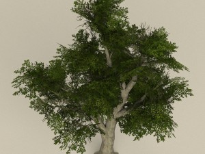 game ready tree 07 3D Model