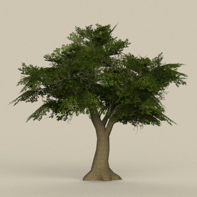 game ready tree 08 Model 3D .c4d .max .obj .3ds .fbx .stl .blend 