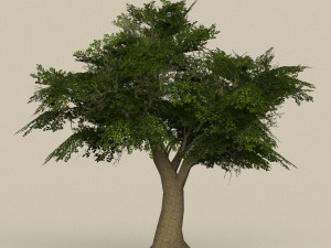 game ready tree 08 3D Model