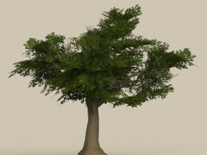 game ready tree 08 Model 3D