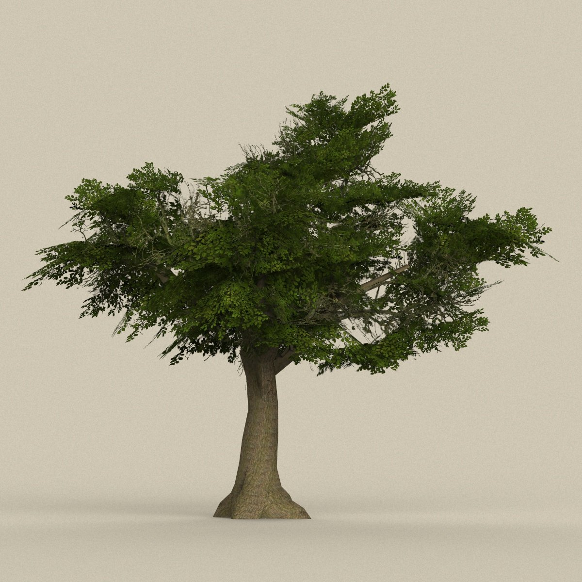 Дерево 8к. Деревья в 3ds max. 8 trees. 3d low-polygon tree. Деревья для многослойного куба.