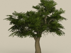game ready tree 08 Model 3D