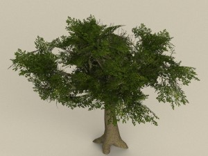 game ready tree 08 Model 3D