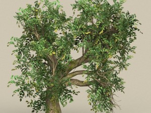 game ready tree 09 3D Model